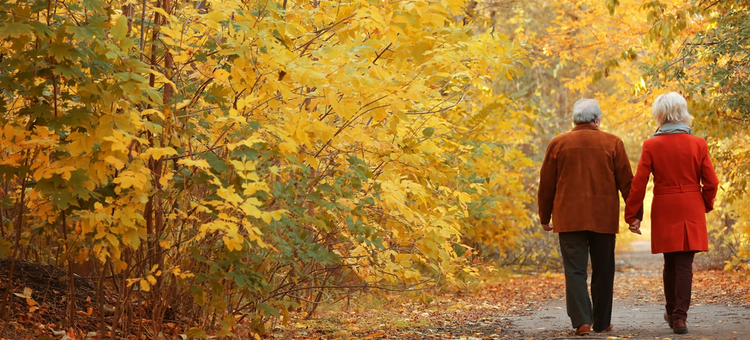 14 Fall Activities For Seniors That Boost Wellbeing Buzztime